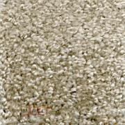 Gr.segums 4m Florida 34